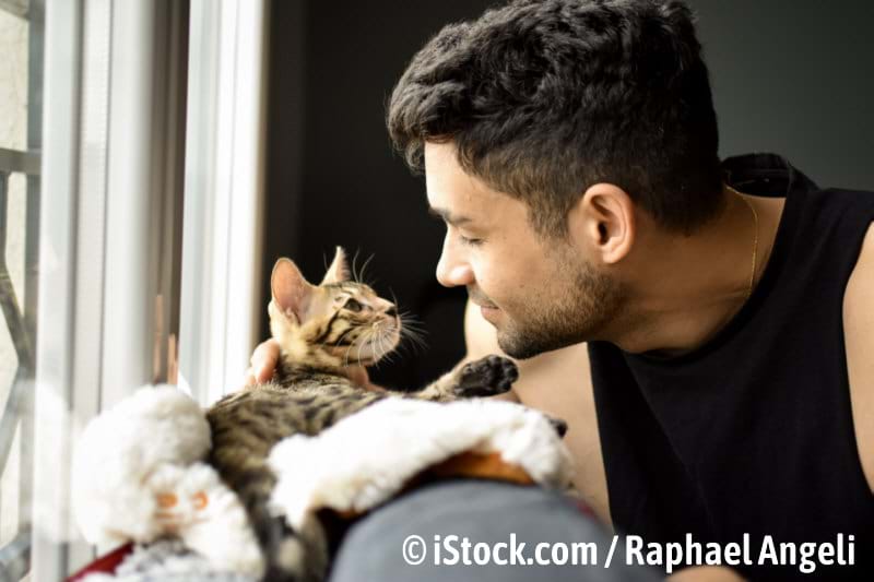 Gothaer Tierversicherung für optimale Fürsorge Ihrer Katze